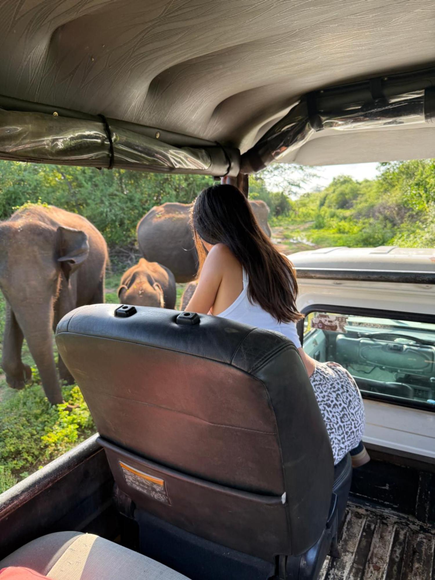 Chill House Safari Resort Udawalawe Ngoại thất bức ảnh