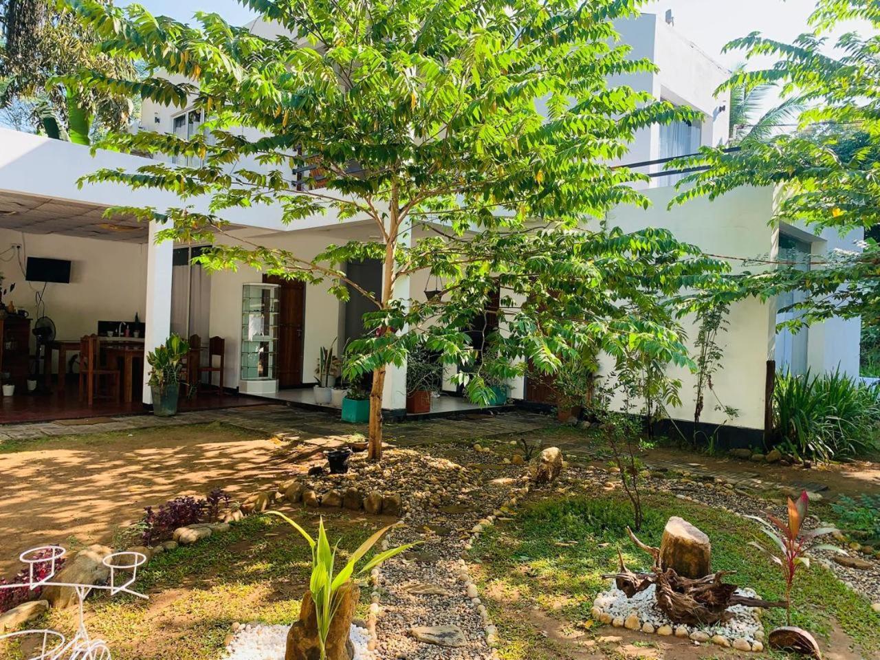 Chill House Safari Resort Udawalawe Ngoại thất bức ảnh
