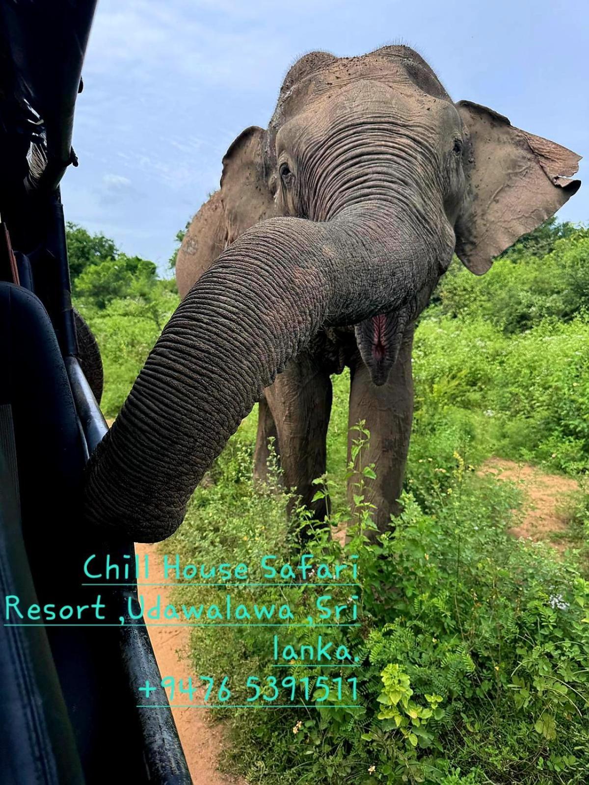 Chill House Safari Resort Udawalawe Ngoại thất bức ảnh