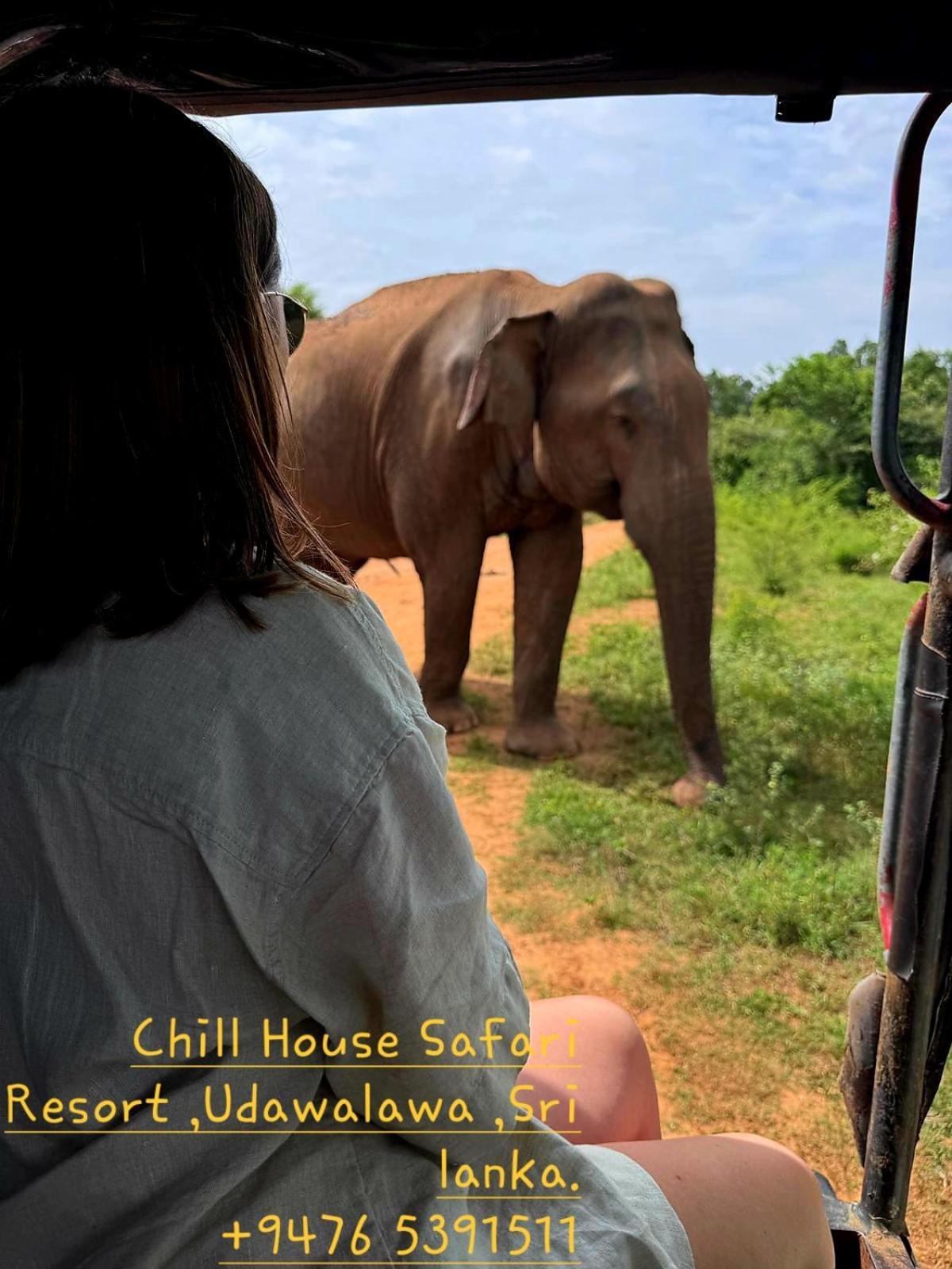 Chill House Safari Resort Udawalawe Ngoại thất bức ảnh