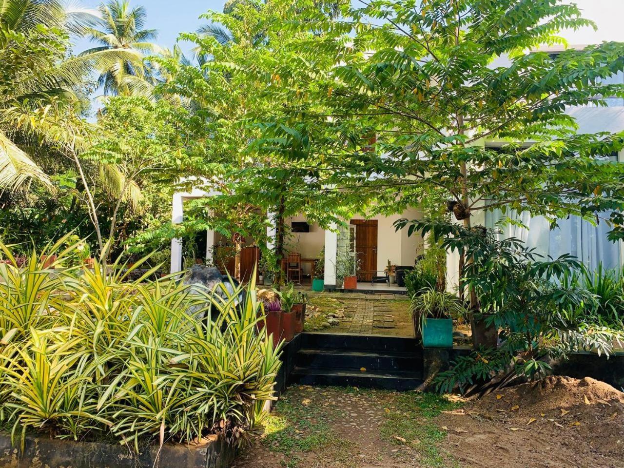 Chill House Safari Resort Udawalawe Ngoại thất bức ảnh